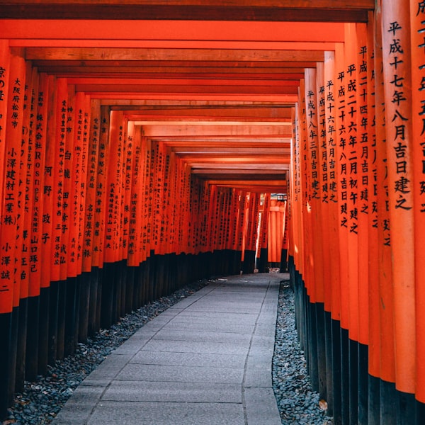 Corredor de portais torii vermelhos no Japão